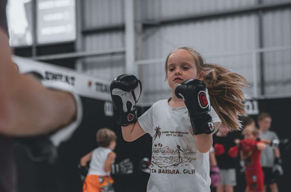 1st class on us inset mini ninjas